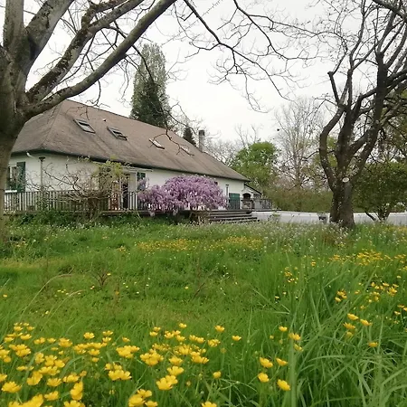 Maison Bearnaise Holiday home Prechacq-Josbaig