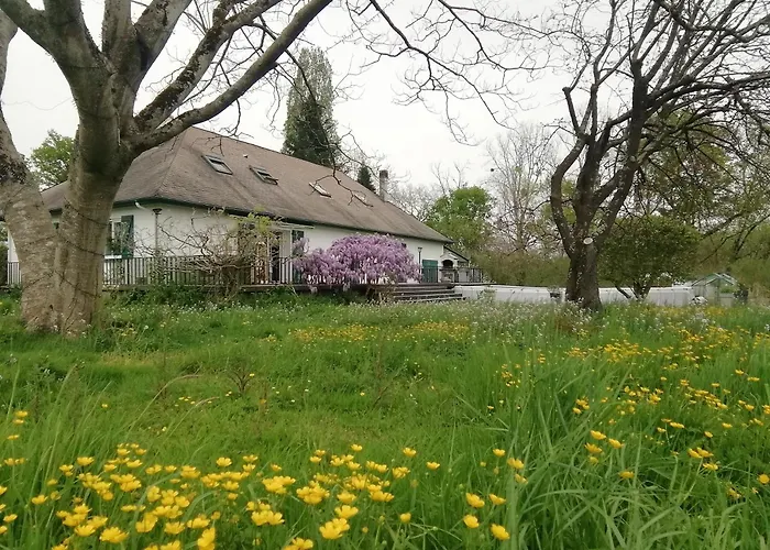 Maison Bearnaise Σπίτι διακοπών Prechacq-Josbaig